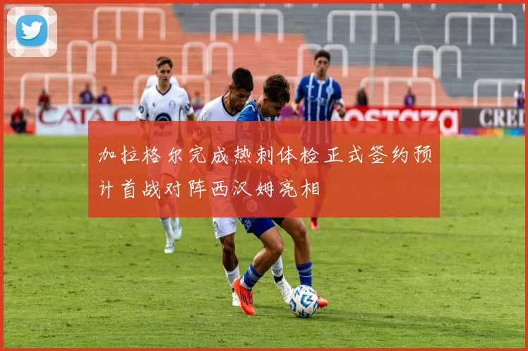 加拉格尔完成热刺体检正式签约预计首战对阵西汉姆亮相